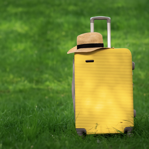 What is forgotten by one traveler becomes a treasure for another – Rare Klub